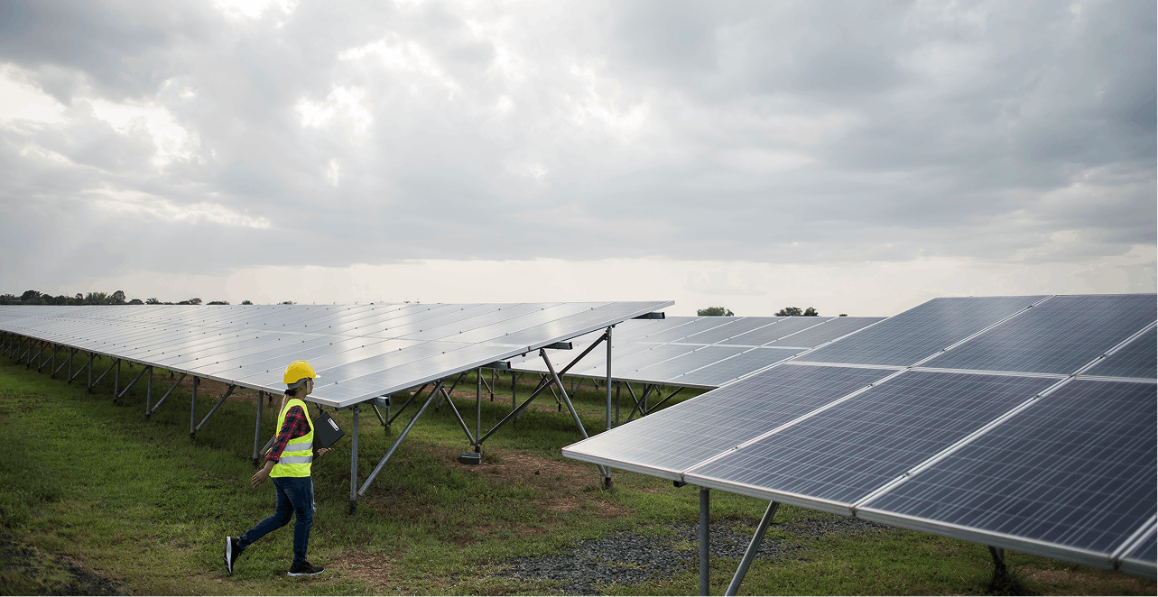 Sustainability and ESG Consulting